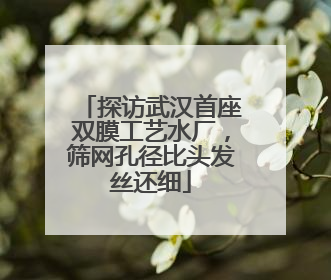 探访武汉首座双膜工艺水厂，筛网孔径比头发丝还细