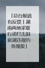 总台报道有反馈丨湖南两地采取行动打击洞庭湖违规钓鱼现象