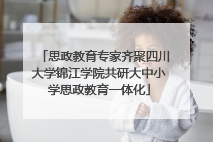 思政教育专家齐聚四川大学锦江学院共研大中小学思政教育一体化