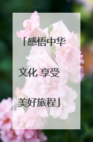 感悟中华文化 享受美好旅程