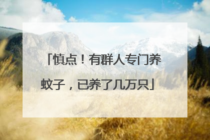 慎点！有群人专门养蚊子，已养了几万只