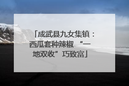 成武县九女集镇：西瓜套种辣椒 “一地双收”巧致富