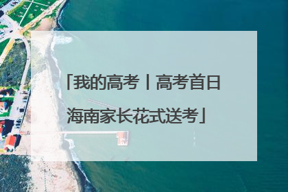 我的高考丨高考首日 海南家长花式送考