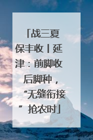 战三夏 保丰收丨延津：前脚收 后脚种，“无缝衔接”抢农时
