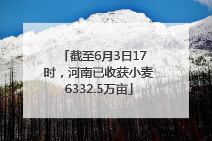 截至6月3日17时，河南已收获小麦6332.5万亩