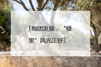 抱团发展，“楼里”风光正好
