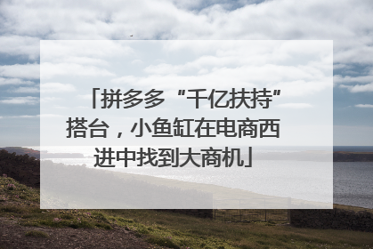 拼多多“千亿扶持”搭台，小鱼缸在电商西进中找到大商机