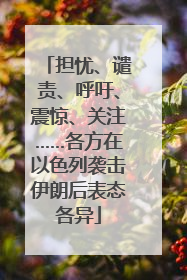 担忧、谴责、呼吁、震惊、关注……各方在以色列袭击伊朗后表态各异
