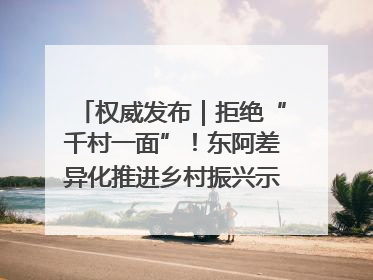 权威发布｜拒绝“千村一面”！东阿差异化推进乡村振兴示范片区建设