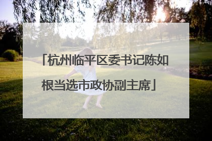 杭州临平区委书记陈如根当选市政协副主席