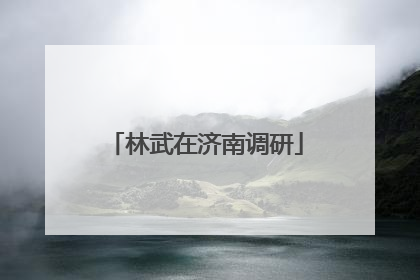 林武在济南调研