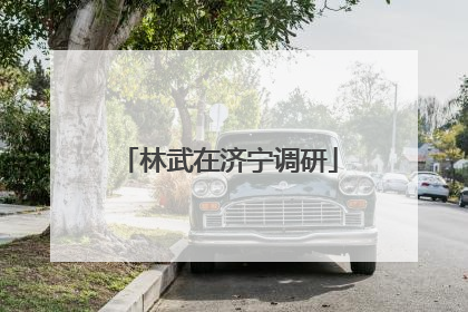 林武在济宁调研