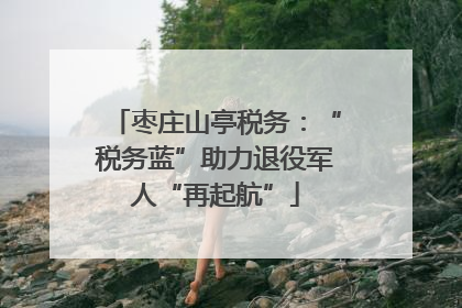 枣庄山亭税务：“税务蓝”助力退役军人“再起航”