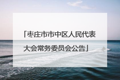 枣庄市市中区人民代表大会常务委员会公告