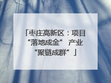 枣庄高新区：项目“落地成金” 产业“聚链成群”