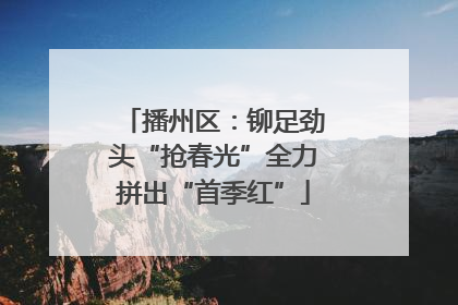 播州区：铆足劲头“抢春光”全力拼出“首季红”