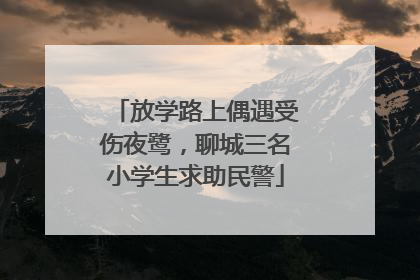 放学路上偶遇受伤夜鹭，聊城三名小学生求助民警