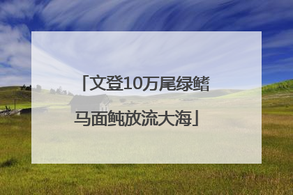 文登10万尾绿鳍马面鲀放流大海