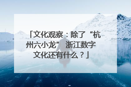 文化观察：除了“杭州六小龙” 浙江数字文化还有什么？