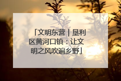 文明东营｜垦利区黄河口镇：让文明之风吹遍乡野
