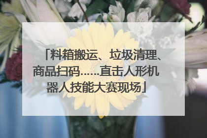 料箱搬运、垃圾清理、商品扫码……直击人形机器人技能大赛现场