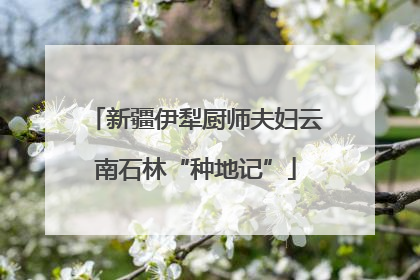 新疆伊犁厨师夫妇云南石林“种地记”