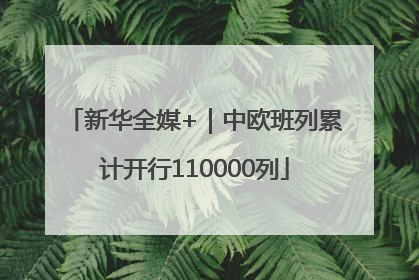 新华全媒+｜中欧班列累计开行110000列