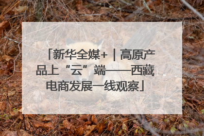 新华全媒+｜高原产品上“云”端——西藏电商发展一线观察