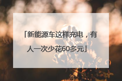 新能源车这样充电，有人一次少花60多元
