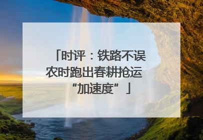 时评：铁路不误农时跑出春耕抢运“加速度”