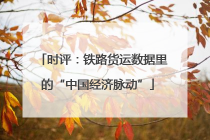 时评：铁路货运数据里的“中国经济脉动”