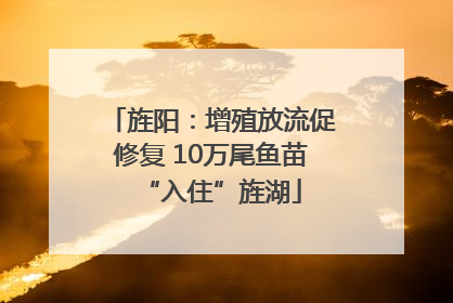 旌阳：增殖放流促修复 10万尾鱼苗“入住”旌湖