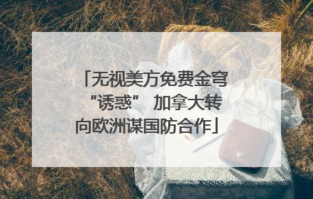 无视美方免费金穹“诱惑” 加拿大转向欧洲谋国防合作