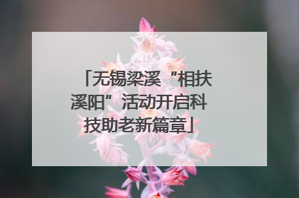 无锡梁溪“相扶溪阳”活动开启科技助老新篇章