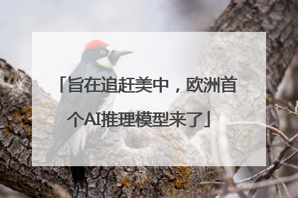 旨在追赶美中，欧洲首个AI推理模型来了