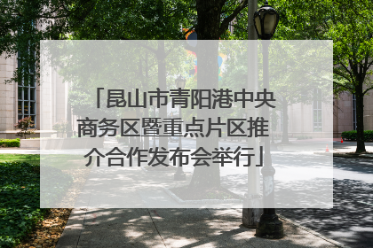 昆山市青阳港中央商务区暨重点片区推介合作发布会举行