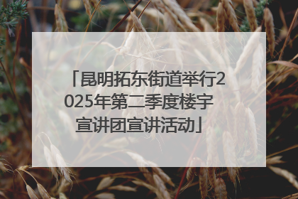 昆明拓东街道举行2025年第二季度楼宇宣讲团宣讲活动