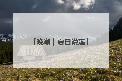 晚潮｜夏日说莲