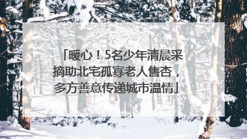 暖心！5名少年清晨采摘助北宅孤寡老人售杏，多方善意传递城市温情