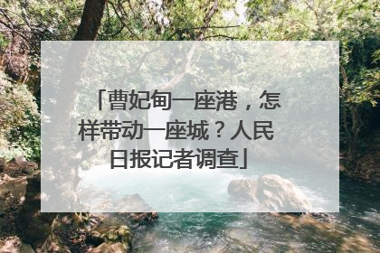 曹妃甸一座港，怎样带动一座城？人民日报记者调查