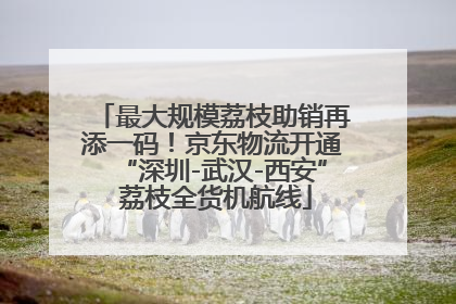 最大规模荔枝助销再添一码！京东物流开通“深圳-武汉-西安” 荔枝全货机航线