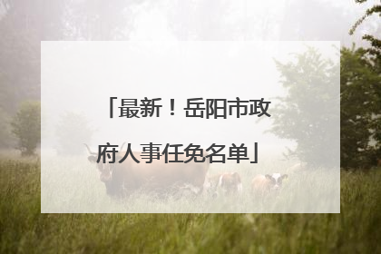 最新！岳阳市政府人事任免名单