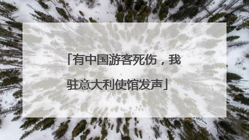 有中国游客死伤，我驻意大利使馆发声