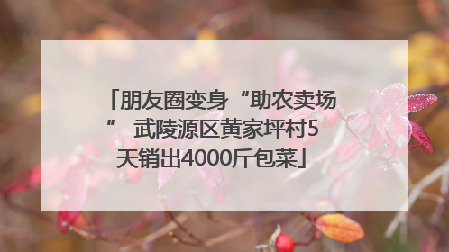 朋友圈变身“助农卖场” 武陵源区黄家坪村5天销出4000斤包菜