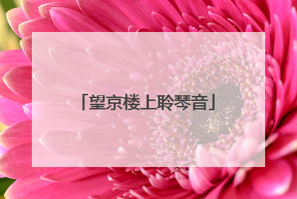 望京楼上聆琴音