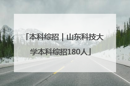 本科综招｜山东科技大学本科综招180人