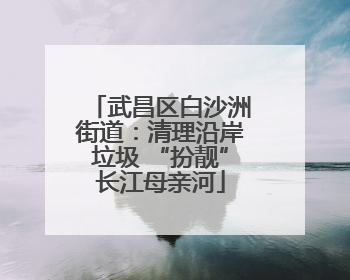 武昌区白沙洲街道：清理沿岸垃圾 “扮靓”长江母亲河