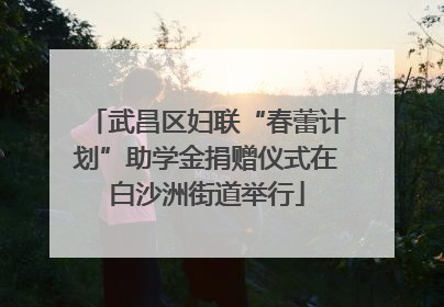 武昌区妇联“春蕾计划”助学金捐赠仪式在白沙洲街道举行