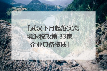 武汉下月起落实离境退税政策 33家企业具备资质
