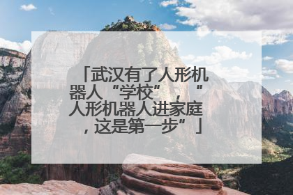 武汉有了人形机器人“学校”，“人形机器人进家庭，这是第一步”